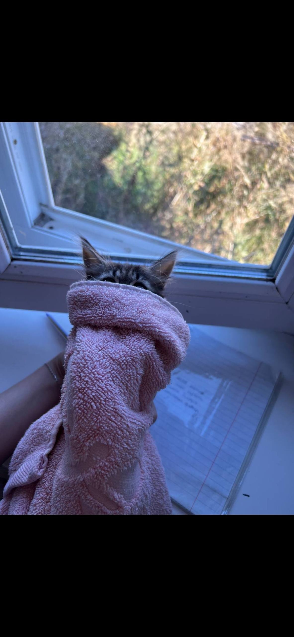 Доказательство